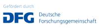dfg_logo_schriftzug_blau_foerderung_4c